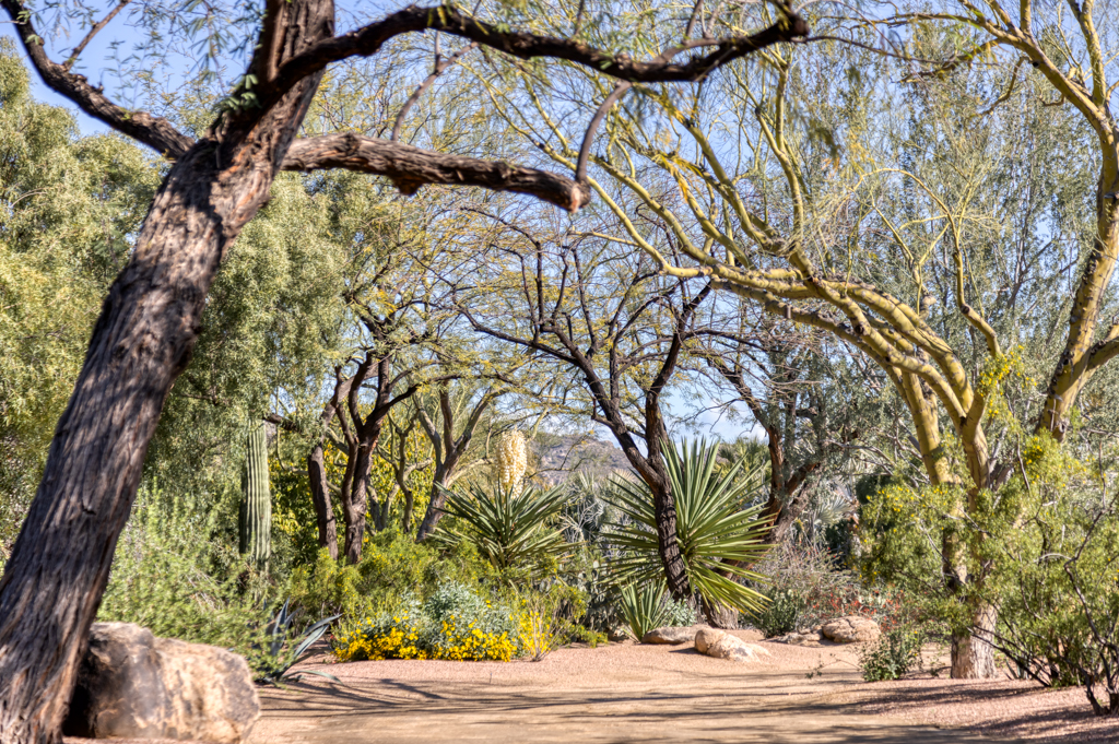 5660 N Saguaro Rd Paradise Valley AZ 85253